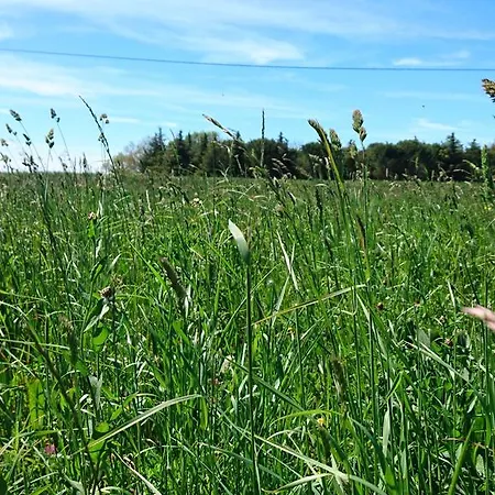 Les Prairies Mas Roux Pension Raphèle Buitenkant foto
