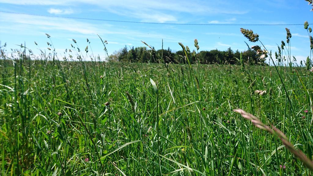 Les Prairies Mas Roux Raphèle
