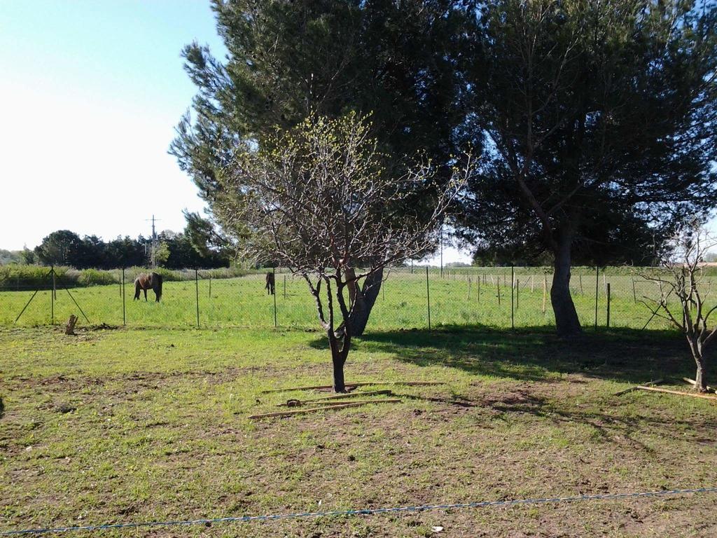 Les Prairies Mas Roux Country house