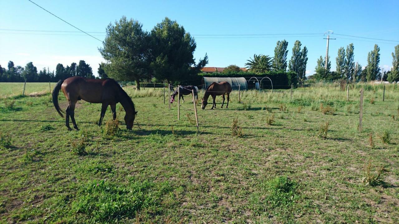 Les Prairies Mas Roux